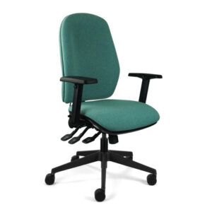 IT300 Back Care Chair